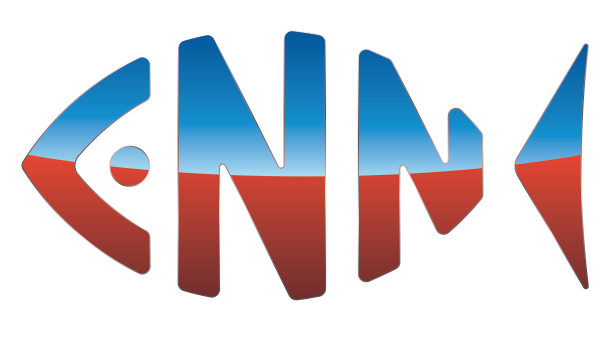 Cnn Logo